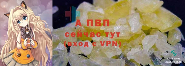 прущие грибы Волосово