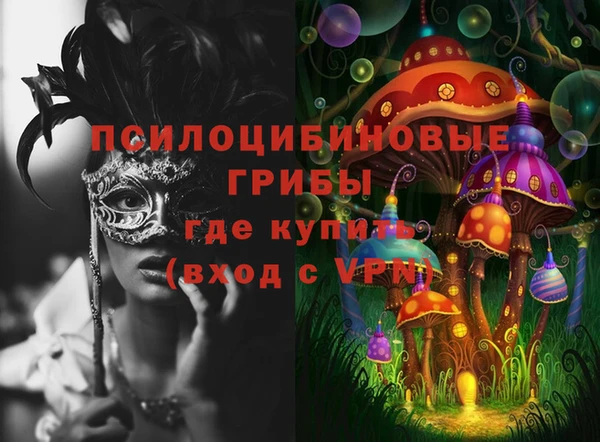 прущие грибы Волосово