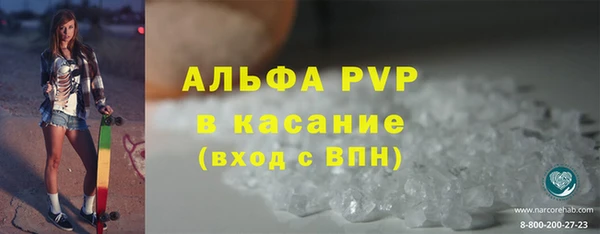 прущие грибы Волосово