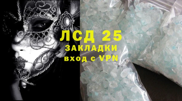 прущие грибы Волосово