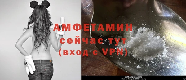 прущие грибы Волосово