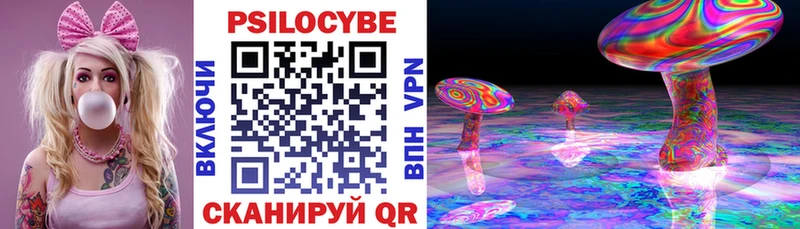 Псилоцибиновые грибы ЛСД Северск
